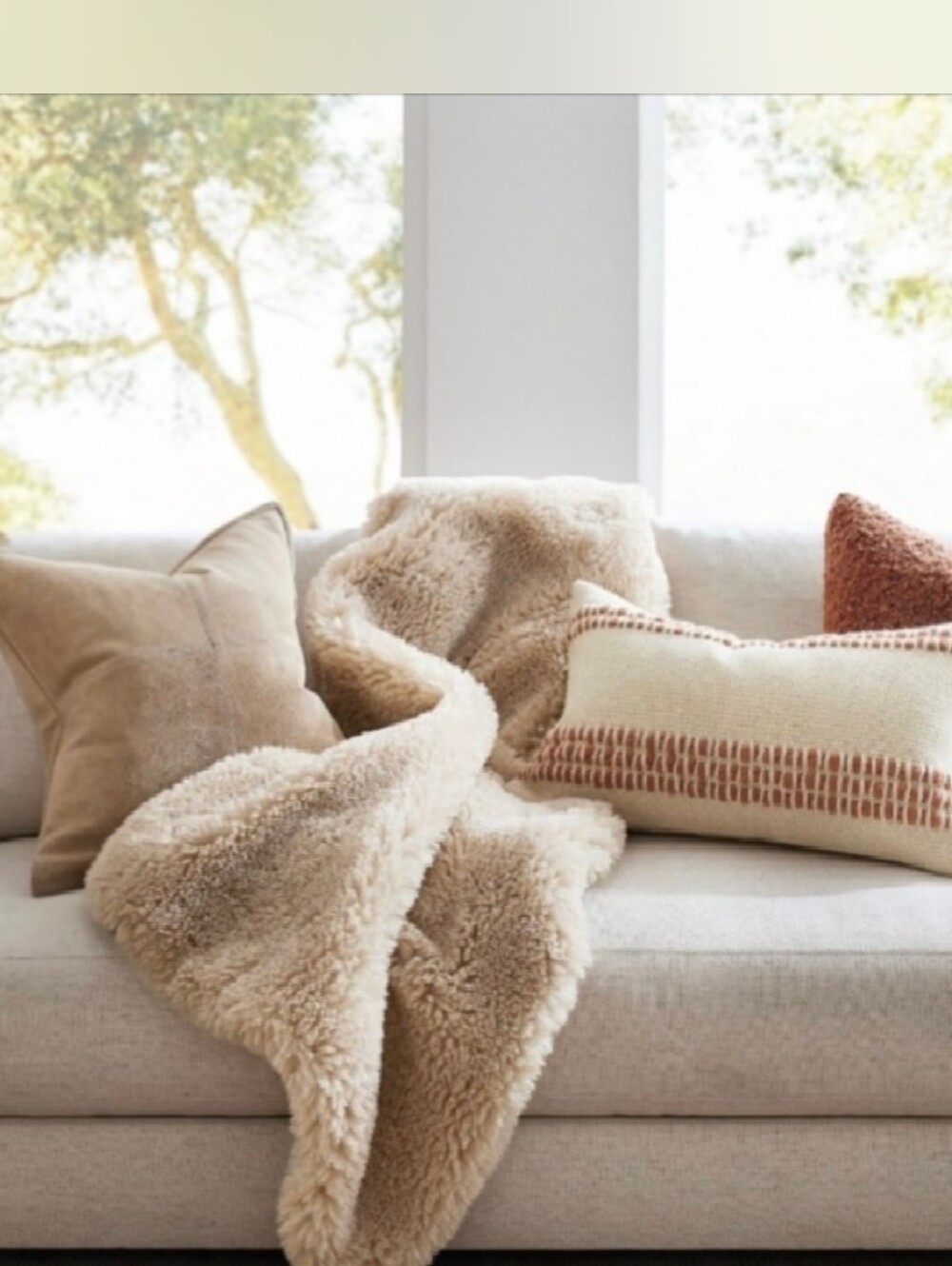 Get The Look (3 Pillow Covers & a Throw by Pottery Barn
